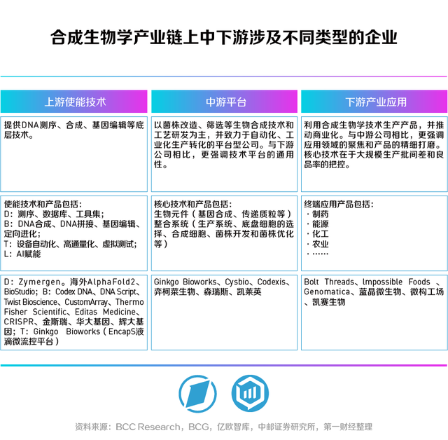 合生万物，重塑未来——第一财经《未来产业系列白皮书丨合成生物篇》发布-3.jpg