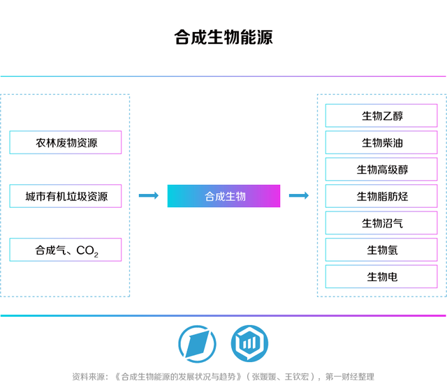 合生万物，重塑未来——第一财经《未来产业系列白皮书丨合成生物篇》发布-17.jpg