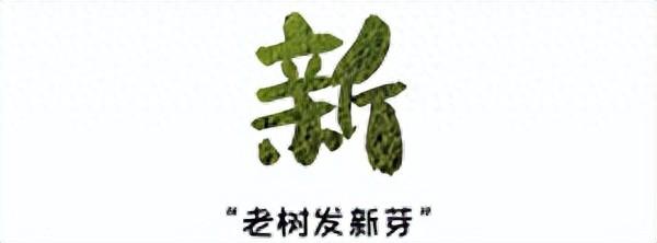 高科技+新模式！在东方，海南黄花梨这样“逆袭”-1.jpg