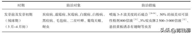 “阳光玫瑰”葡萄绿色果品栽培关键技术集成应用-2.jpg