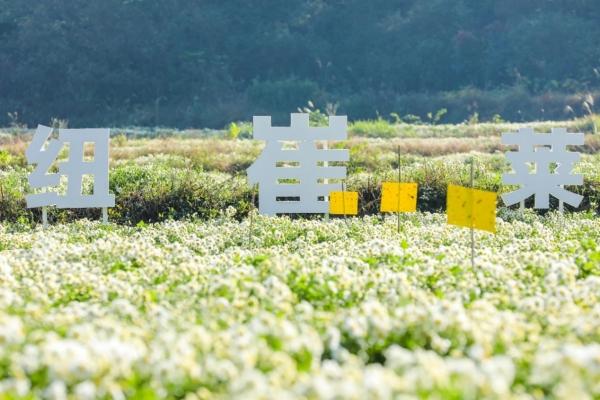 “90岁”的安利纽崔莱，植物营养赛道焕新机-3.jpg