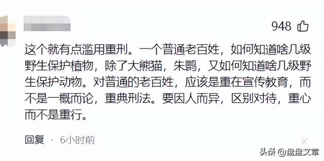 甘肃农民挖三株红豆杉移栽，竟引发重罚！背后隐藏了怎样的危机？-2.jpg