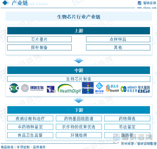 【前景趋势】一文读懂2024年中国生物芯片行业未来发展前景及趋势-5.jpg